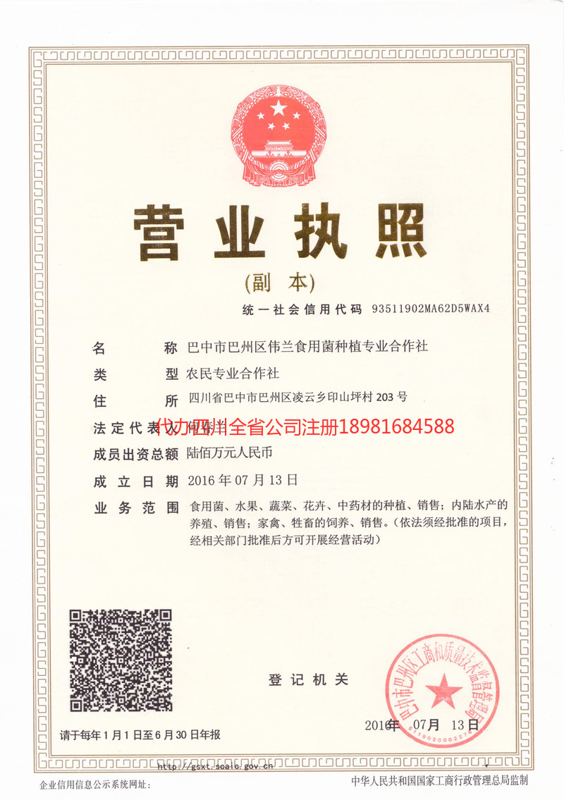 六盘水六盘水伟兰食用菌种植专业合作社